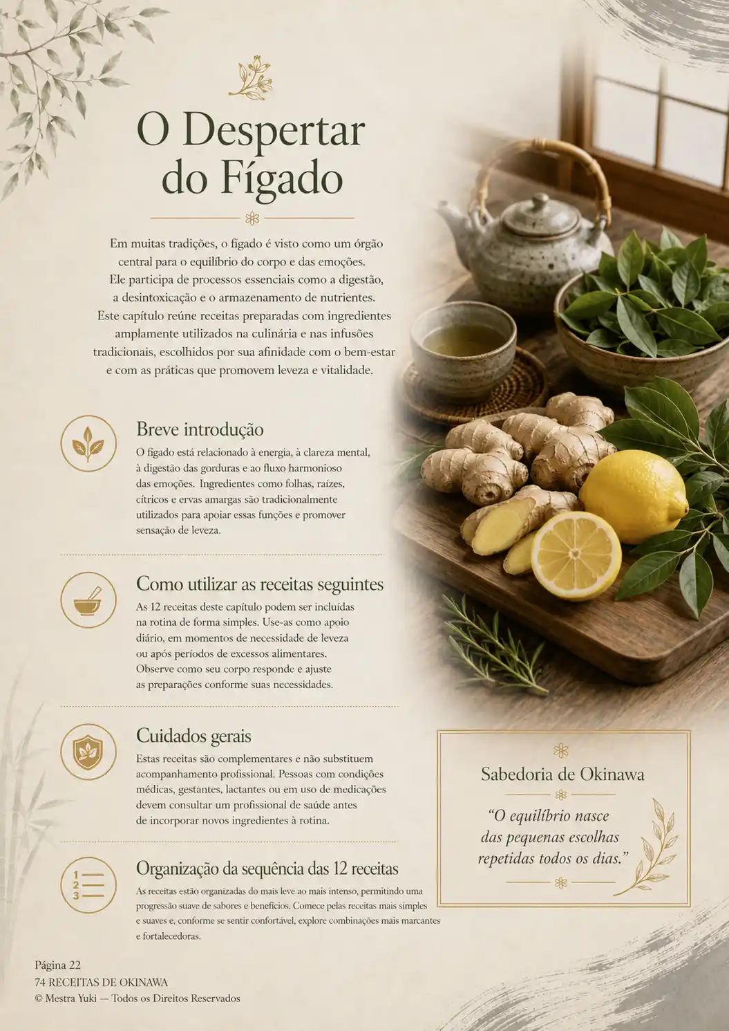 Página do eBook 2